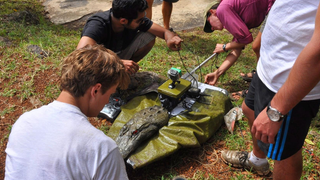Watch a Robo-Crocodile Sneak Around Hippos to Study Their Poop